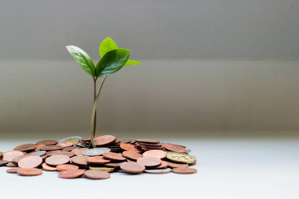 Agroinvestimentos: caminhos, oportunidades e riscos no campo