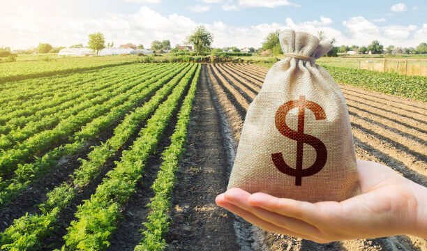 Crédito Rural e Financiamento Agrícola
