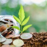 Investimentos no agronegócio