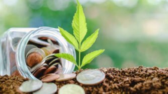 Investimentos no agronegócio