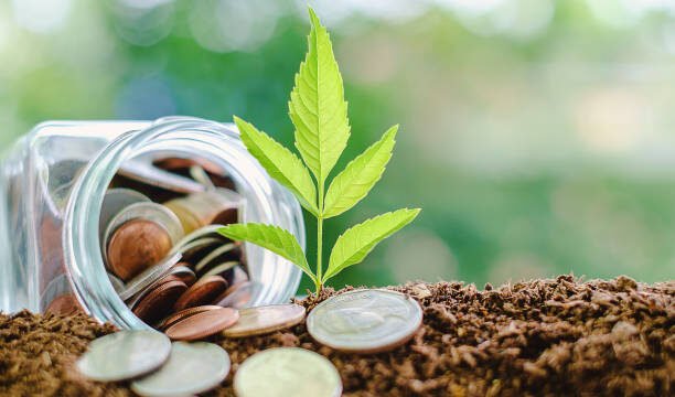 Investimentos no agronegócio