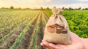 Investimentos no Agronegócio
