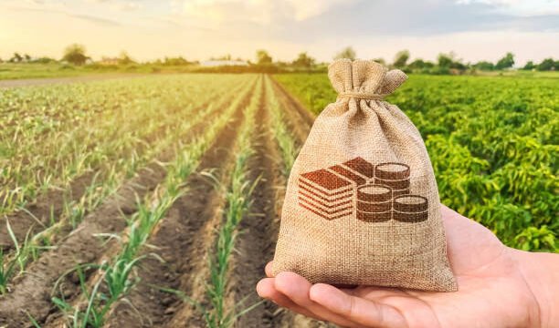 Investimentos no Agronegócio